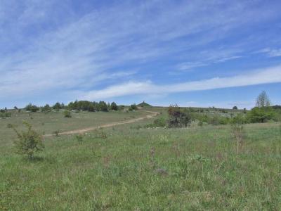 Прикрепленное изображение: DSCF8458a.jpg